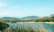 描写时间流逝的诗句