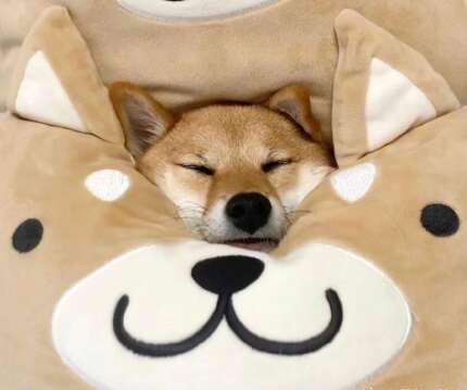 祝孩子快乐