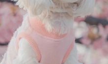 描写和别人在一起开心的句子