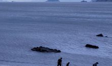 跟朋友打羽毛球开心的句子