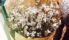 人要活的开心的句子