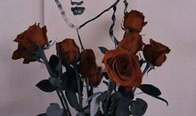 痘印超火励志短句