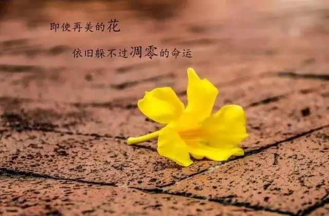 成熟男孩的经典语录
