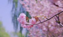 朋友游玩开心的句子