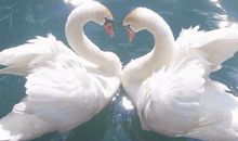 老人开心快乐的句子