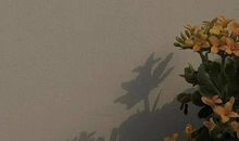 朋友圈温柔文案