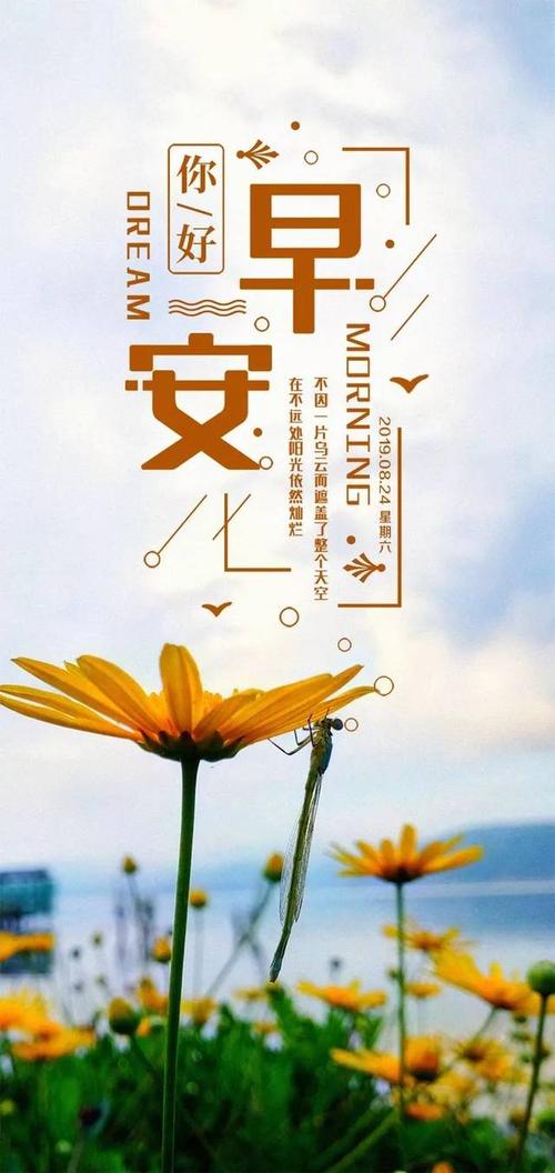 星期天早上好