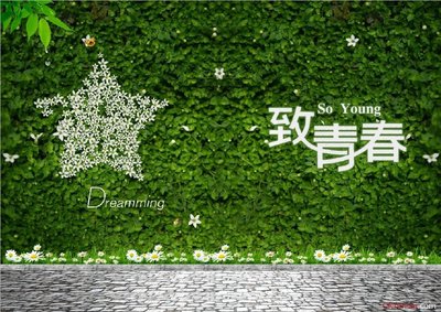 描述美丽青春的句子1