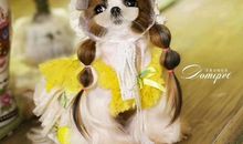 描写开心生活的句子