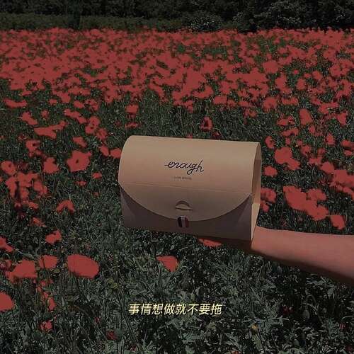 悲伤而现实的句子