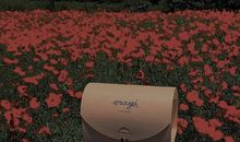 心酸又现实的句子