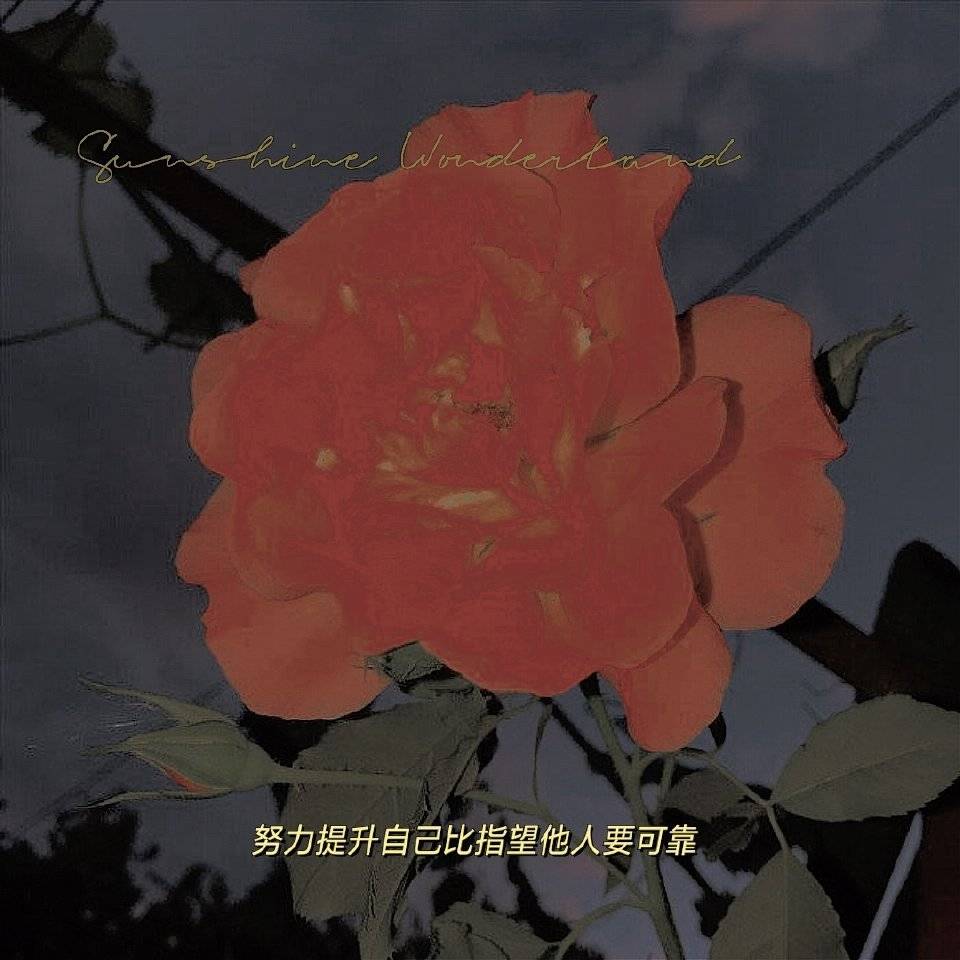 悲伤而现实的句子2