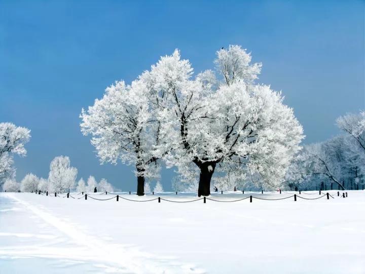 雪的美丽诗句