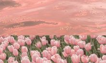 天气降温关心简短句子