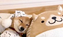 关于打开心灵的句子