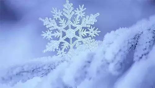 与雪温柔的文案