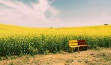 后悔爱上人渣的句子