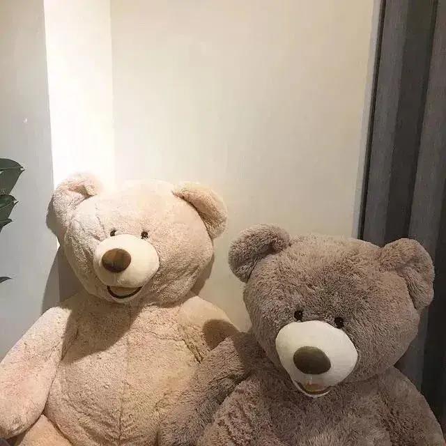 获得证书并将有趣的句子发送给Moments 1