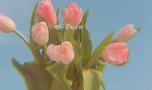 为孩子开心的句子