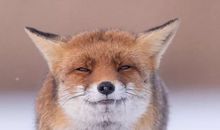 小朋友开心快乐的句子