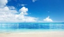 嫁给他后悔的句子