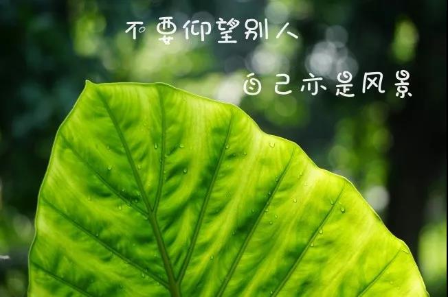 鼓舞人心的句子