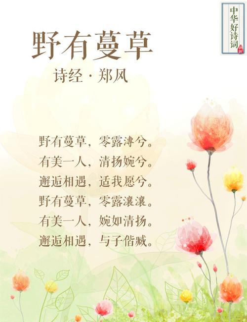 最美的诗歌