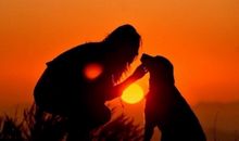 伪装自己开心的句子