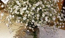 和女友开心的聊天句子