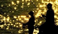 开心每一天的经典句子