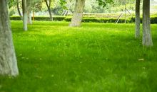 形容入错行后悔的句子