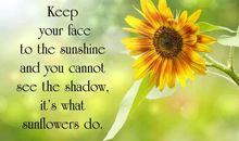 简单一句话发朋友圈