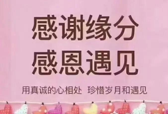 感恩节手册内容