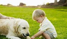 对前妻后悔的句子