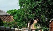 开心唯美简短的句子