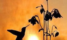 工作开心快乐的句子