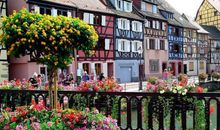 已经打开心结的句子