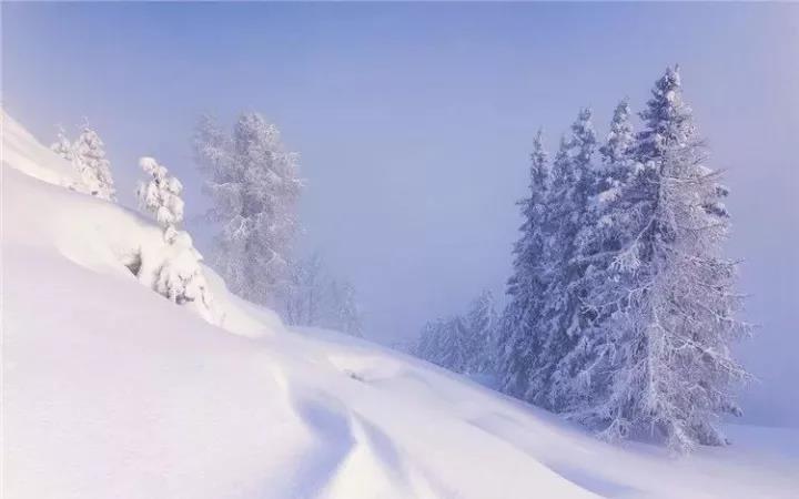 小雪节气谚语1