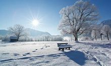 小雪节气的谚语