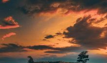 后悔买是再想买的意思的句子