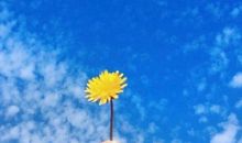 进社会后悔的句子