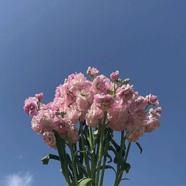 关于朋友的句子后悔了