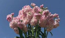 朋友后悔相逢的句子