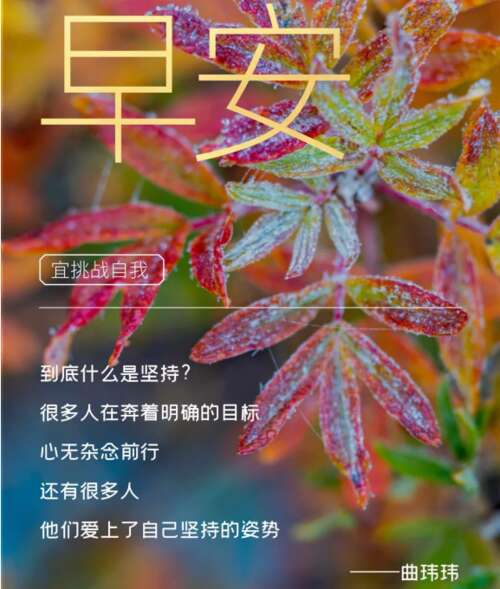 2020微信早安2