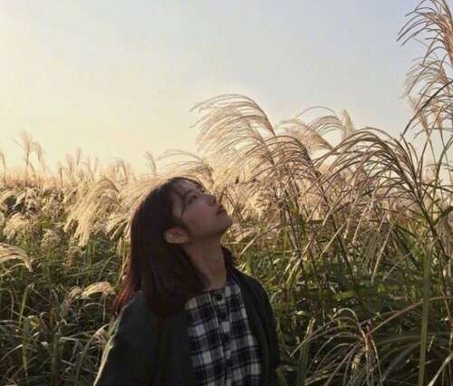 开心的句子