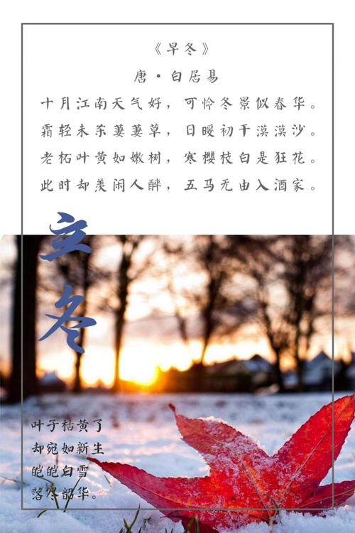 惊人的诗句