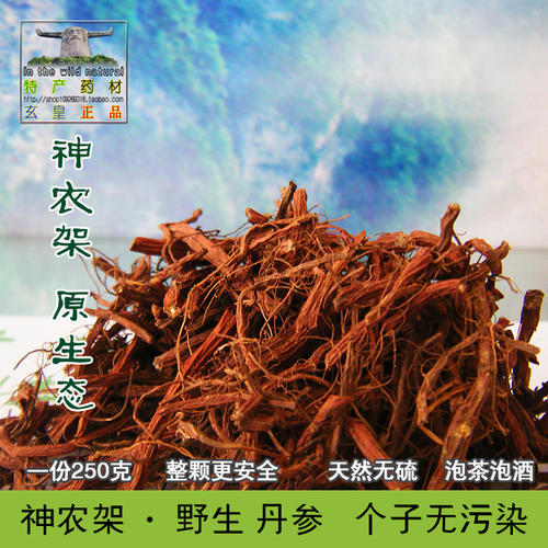长篇小说