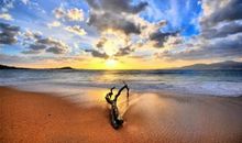 做傻事后悔的句子