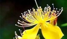 等到身体垮了后悔句子