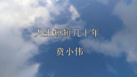 可悲的现实句子
